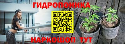 круглые Заволжье