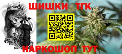 гидра Заводоуковск